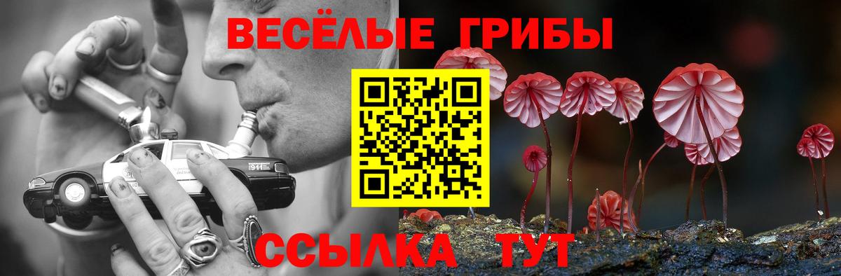 Псилоцибиновые грибы MAGIC MUSHROOMS Тюмень